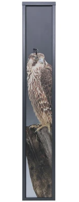 Сейф оружейный Aiko Беркут-3 Print Сейф оружейный Aiko Беркут-3 Print